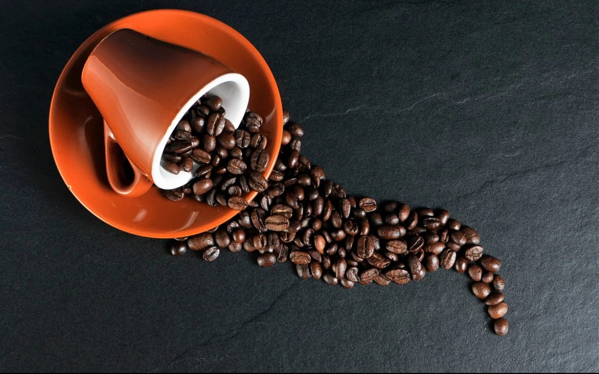 coffee seed