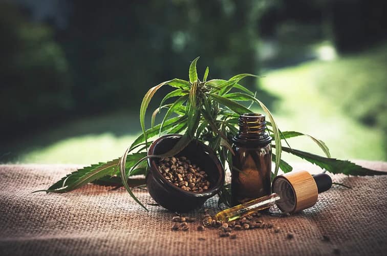 cbd oil business